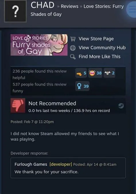 What is not allowed on steam