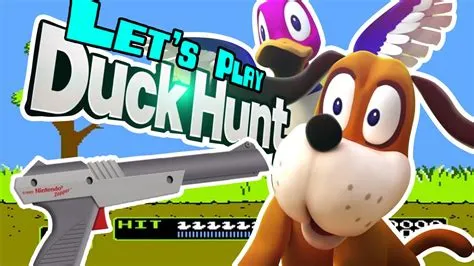 What do you need to play duck hunt