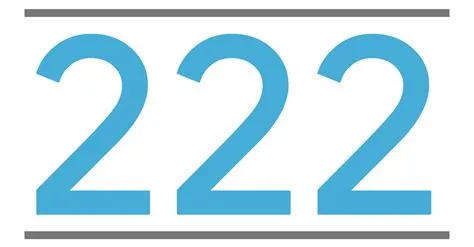 What does it mean when you see 222