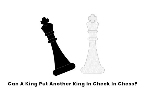 Can you use a king to put a king in check