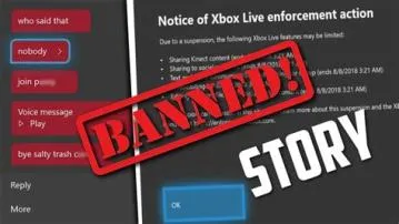 Can you use a banned xbox?