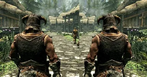 Can you have 2 different players on skyrim