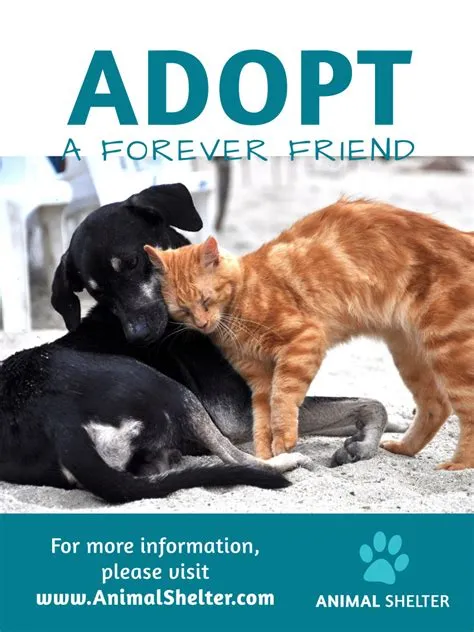 How many pets are in adopt me in total