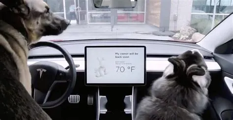 What is dog mode tesla