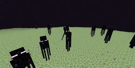 Why wont enderman fight me