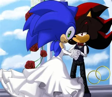 Is shadow from sonic married