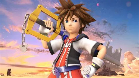 How much did sora cost