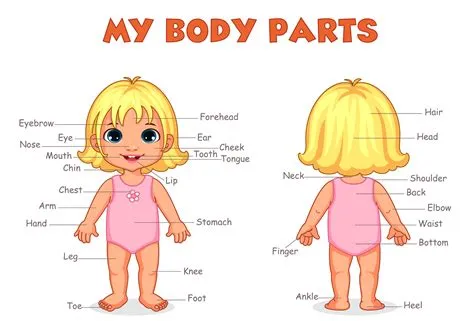 What does it mean when a girl has both parts