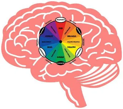 What color stimulates the brain