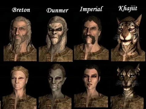 What is the most common race in skyrim