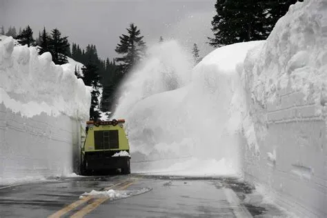 What was the snowiest day in the world