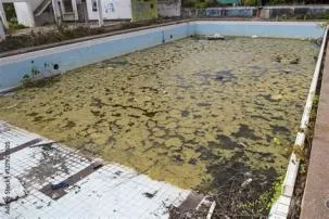 What causes a dirty pool?