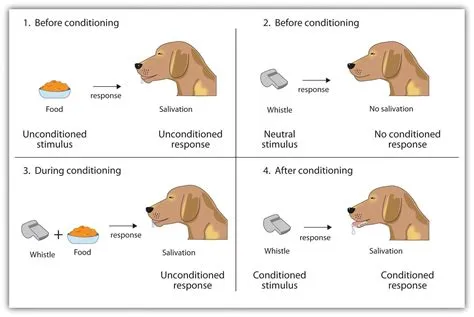 Can i play pavlov sitting