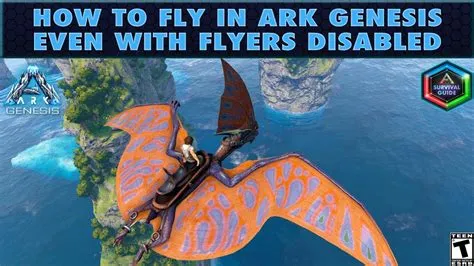 Why are flyers disabled in genesis