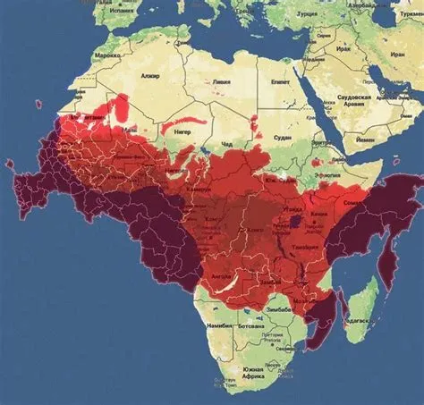 Is africa bigger than russia