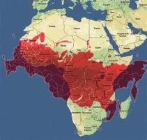 Is africa bigger than russia?