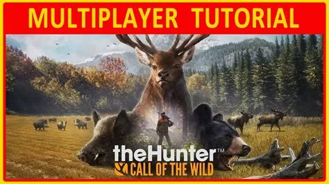 How does multiplayer work in way of the hunter