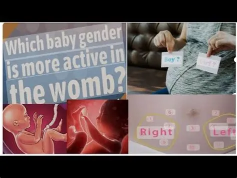 Which gender is more active in womb