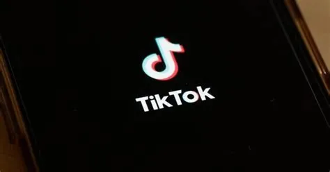 Is tiktok the future of social media