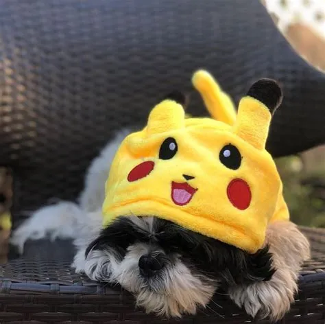 What kind of dog is a pikachu