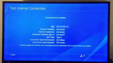 What is type 3 internet ps4