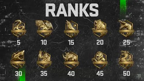 What does ranked mean in gaming