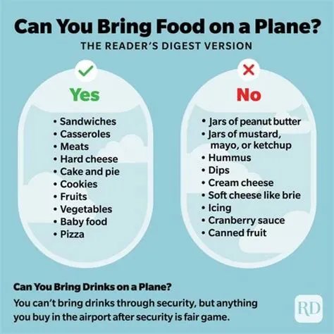 What food cannot be taken on a plane