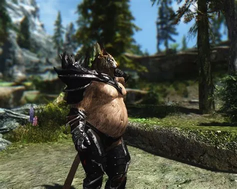 How big are skyrim mods