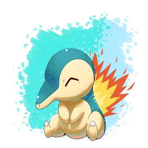 Is cyndaquil a cat