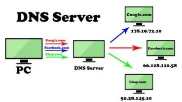 What is dns in data communication?